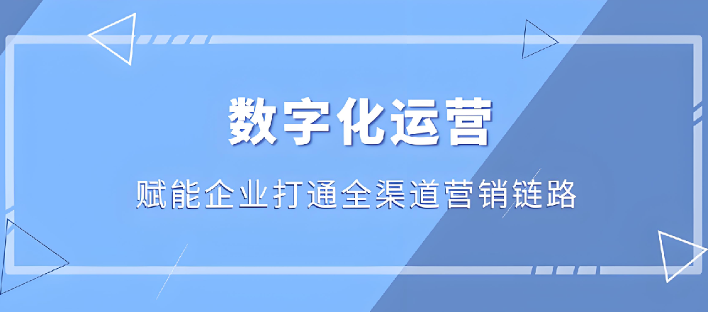 武榮網絡：塑造企業(yè)數字形象，提升網絡營銷效益